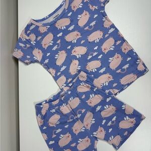 Carter's Blue and Pink Piggy Pajama Set 5T